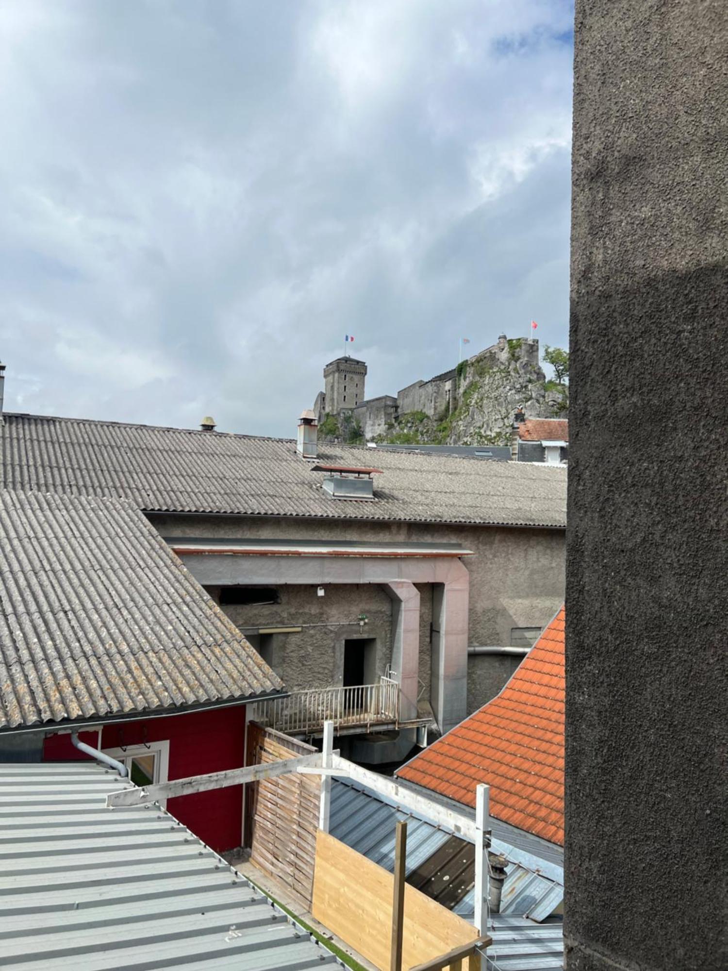 Residence Sainte Therese - La Villa Selva Lourdes Exterior photo