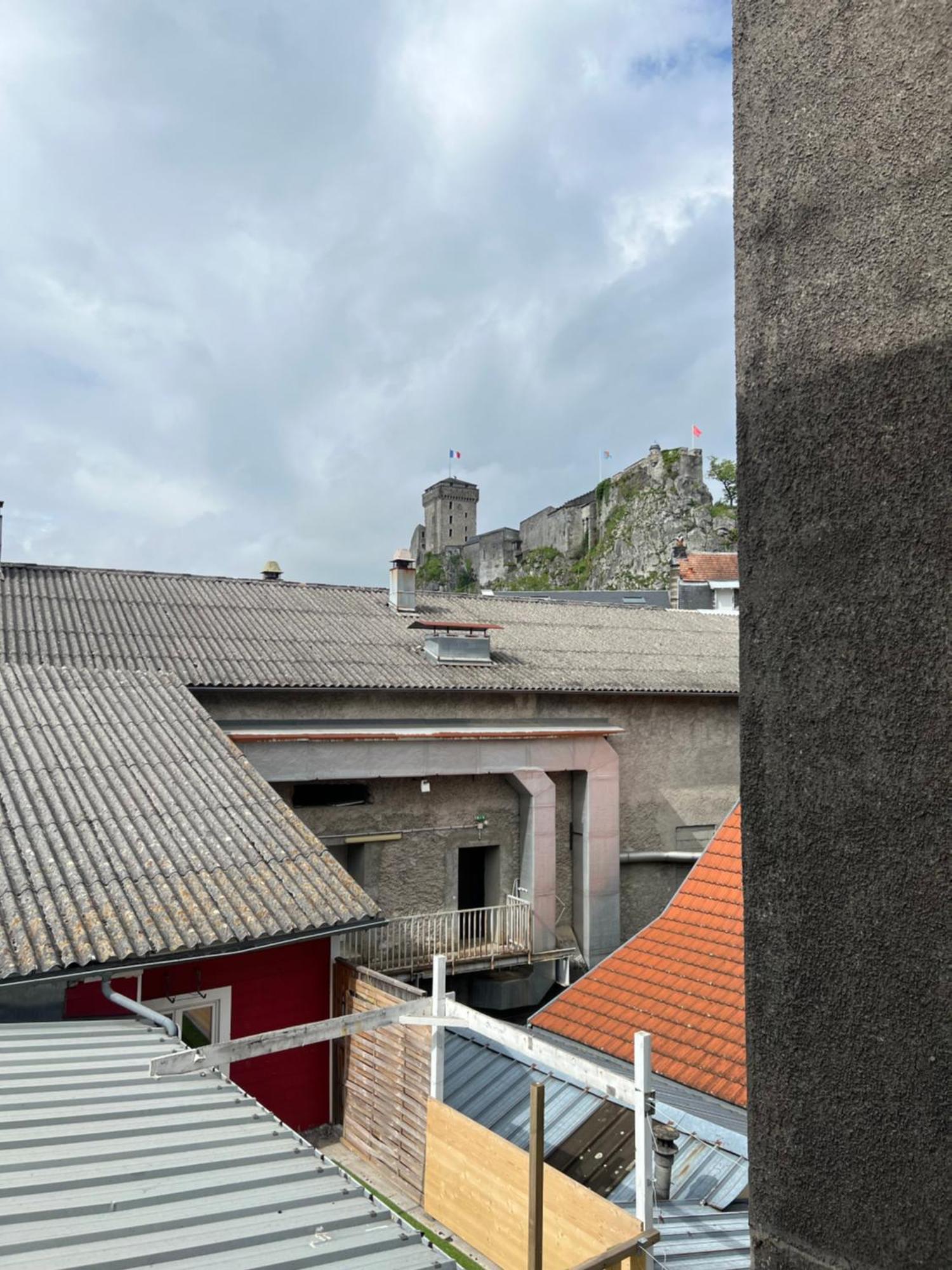 Residence Sainte Therese - La Villa Selva Lourdes Exterior photo